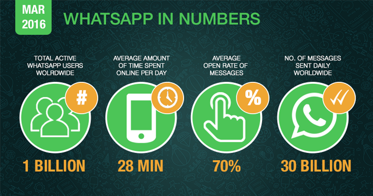 whatsapp marketing punjab
